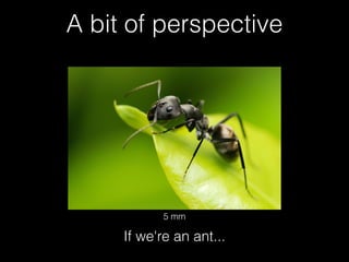 A bit of perspective




            5 mm

     If we're an ant...
 