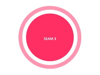 13 
SEAM 3 
 