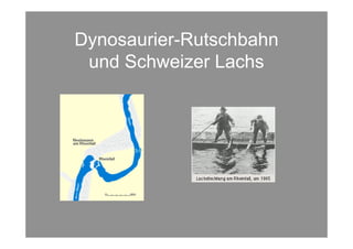 Dynosaurier-Rutschbahn
 und Schweizer Lachs
 