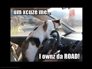 flickr.com/photos/bahkubean 