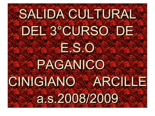 SALIDA CULTURAL DEL 3°CURSO  DE E.S.O PAGANICO   CINIGIANO    ARCILLE a.s.2008/2009 