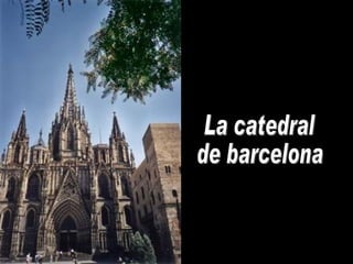 La catedral de barcelona