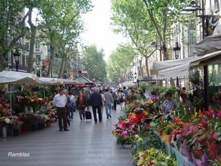 Ramblas
 