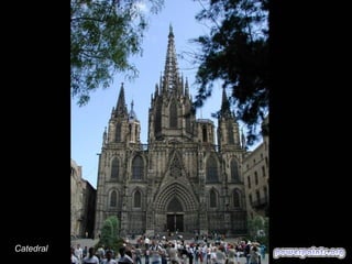 Catedral

 