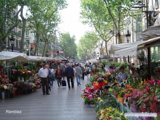 Ramblas

 