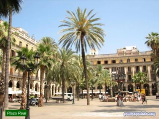 Plaza Real

 