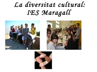 La diversitat cultural:
    IES Maragall
 