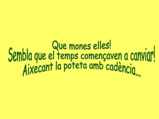 Que mones elles! Sembla que el temps començaven a canviar! Aixecant la poteta amb cadència... 