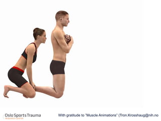 With gratitude to ”Muscle Animations” (Tron.Krosshaug@nih.no  