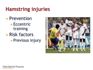Hamstring injuries 
Prevention 
Eccentric training 
Risk factors 
Previous injury  