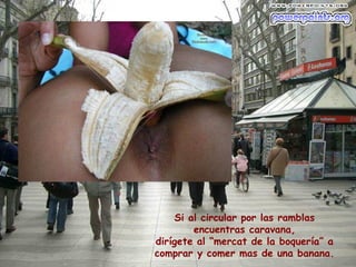 Si al circular por las ramblas
encuentras caravana,
dirígete al “mercat de la boquería” a
comprar y comer mas de una banana.
 
