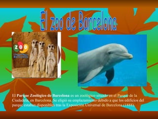 El zoo de Barcelona El  Parque Zoológico de Barcelona  es un  zoológico  situado en el  Parque  de la  Ciudadela , en  Barcelona . Se eligió su emplazamiento debido a que los edificios del parque estaban disponibles tras la  Exposición  Universal   de Barcelona (1888) .  