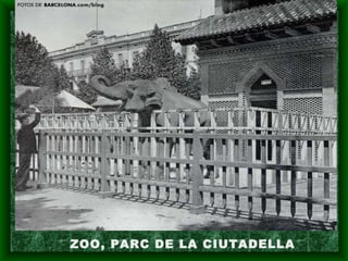 ZOO, PARC DE LA CIUTADELLA