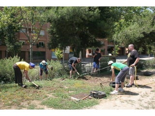 Oasis Training Barcelona 2014