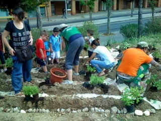 Oasis Training Barcelona 2014