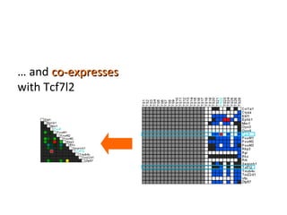 …  and  co-expresses  with Tcf7l2 