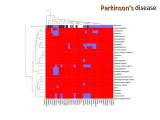Parkinson’s  disease pancreas metencephalon cerebellum  midbrain hippocampus diencephalon basal ganglia amygdala hypothalamus nervous system central nervous system forebrain brain telencephalon cerebral cortex cerebral cortex region myencephalon medulla oblongata hindbrain hippocampal formation retrohippocampal cortex hippocampus region olfactory cortex pons pallidum thalamus septal cortex lateral septal cortex Cox6b1 Atp5g3 Cycs Ndufa9 Ndufb7 Ndvfs7 Sdhb Uqcr Uqcrb Ndufb10 Atp5o Uqcrfs1 Cox5a Atp5c1 Cox5b Ndufa6 Cyc1 Atp5b Ndufs3 Ndufv2 Atp5h Atp5a1 Udac1 Ndufv1 Slc25a4 Ube2l3 Atp5d Nudfa5 Sdha Uqcrc1 Ndufb9 Cox7a2 Uchl1 Ndufs2 Ndufa10 Cox4i1 