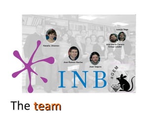 The  team 