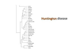 Huntington  disease 