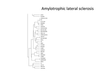 Amylotrophic lateral sclerosis 
