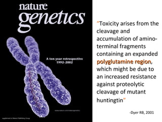 “ Toxicity arises from the cleavage and accumulation of amino-terminal fragments containing an expanded  polyglutamine region , which might be due to an increased resistance against proteolytic cleavage of mutant huntingtin ”   -Dyer RB, 2001 