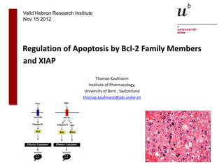 Valld’Hebron Research Institute
Nov 15 2012




Regulation of Apoptosis by Bcl-2 Family Members
and XIAP
                                 Thomas Kaufmann
                             Institute of Pharmacology,
                           University of Bern , Switzerland
                          thomas.kaufmann@pki.unibe.ch
 
