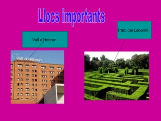 Parc del Laberint
Vall d’Hebron
 