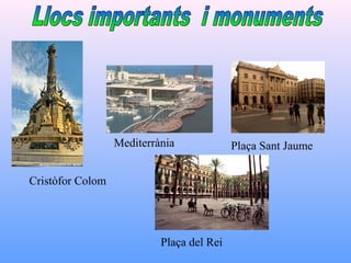 Cristòfor Colom
Mediterrània Plaça Sant Jaume
Plaça del Rei
 