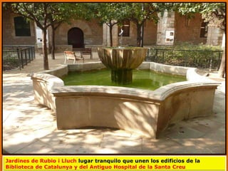 Jardines de Rubio i Lluch lugar tranquilo que unen los edificios de la
Biblioteca de Catalunya y del Antiguo Hospital de la Santa Creu
 