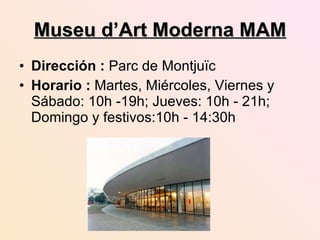 Museu d’Art Moderna MAM ,[object Object],[object Object]