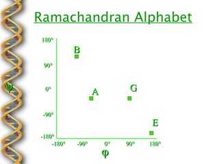 Ramachandran Alphabet
    180°
                B
     90°


ψ    0°
                       A         G

     -90°
                                       E
    -180°
        -180°   -90°       0°   90°   180°
                           φ
 