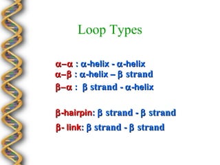 Loop Types

α−α : α -helix - α -helix
α−β : α -helix – β strand
β−α : β strand - α -helix


β -hairpin: β strand - β strand
β - link: β strand - β strand
 