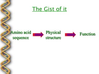The Gist of it



Amino acid        Physical    Function
 sequence         structure
 
