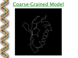 Coarse-Grained Model
 