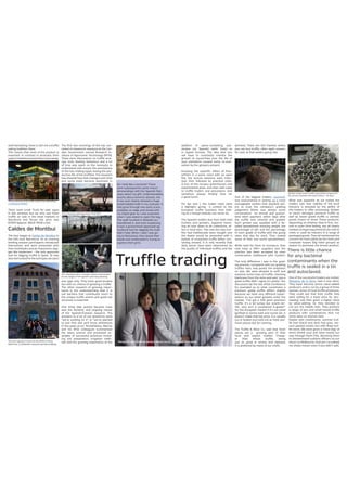 wild harvesting, there is still not a truffle
eating tradition there.
This means that most of the product is
exported. In ...