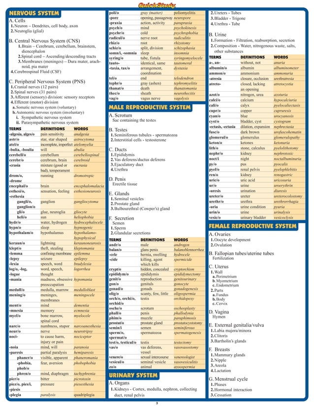 Bar charts quickstudy medical terminology the body
