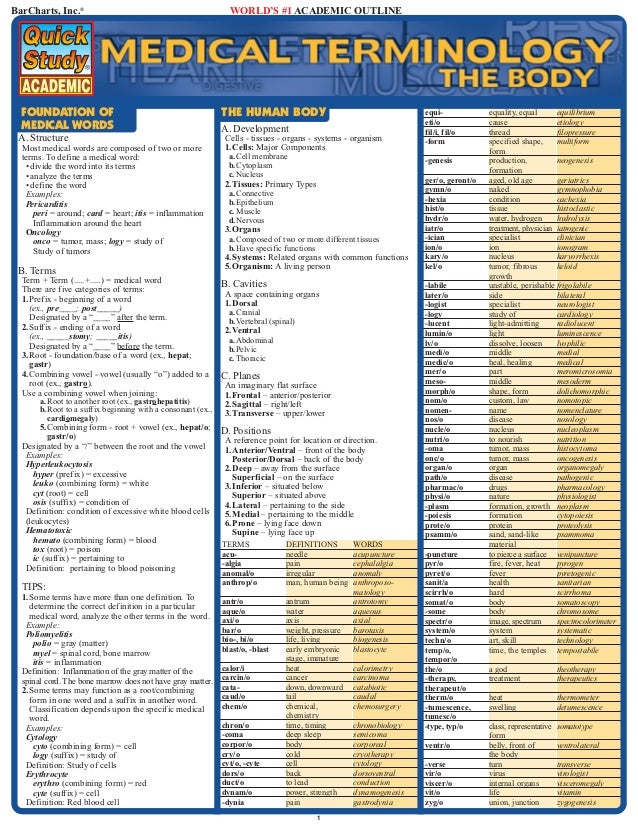 Types Of Medical Charting