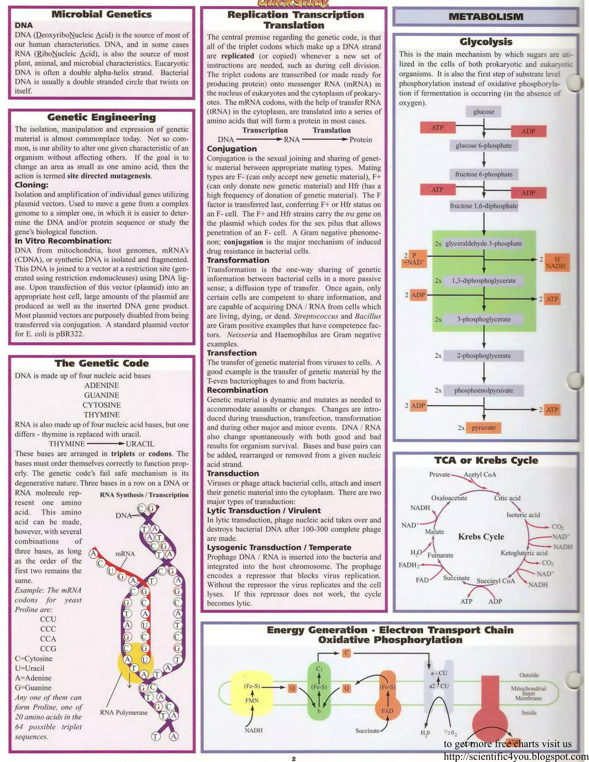 to get more free charts visit us
http://scientific4you.blogspot.com