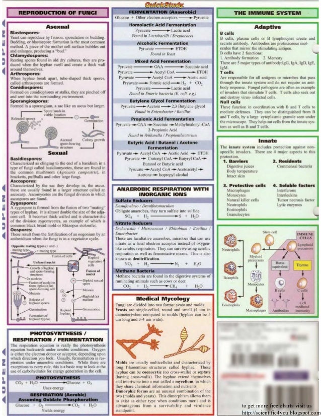 bar charts quickstudy microbiology microbiology charts