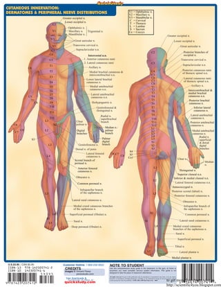 Bar charts quickstudy nervous system | PDF
