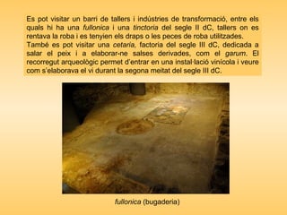 Es pot visitar un barri de tallers i indústries de transformació, entre els
quals hi ha una fullonica i una tinctoria del segle II dC, tallers on es
rentava la roba i es tenyien els draps o les peces de roba utilitzades.
També es pot visitar una cetaria, factoria del segle III dC, dedicada a
salar el peix i a elaborar-ne salses derivades, com el garum. El
recorregut arqueològic permet d’entrar en una instal·lació vinícola i veure
com s’elaborava el vi durant la segona meitat del segle III dC.
fullonica (bugaderia)
 