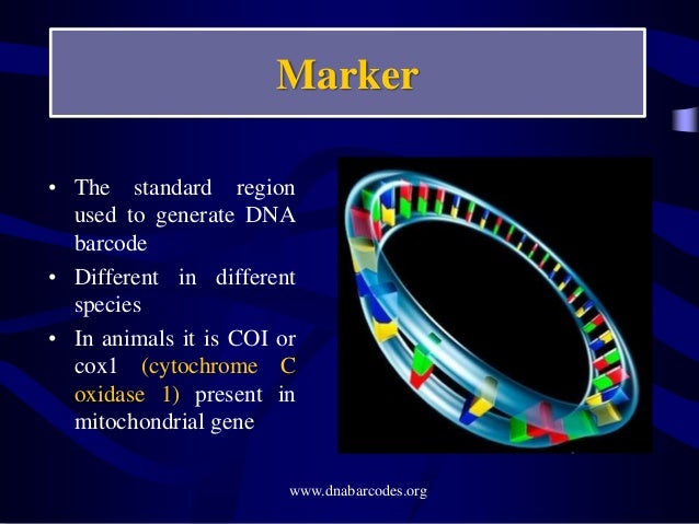 slideshare