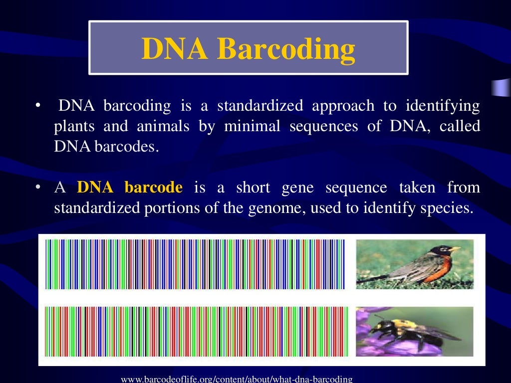 DNA BarcodING IN ANIMALS