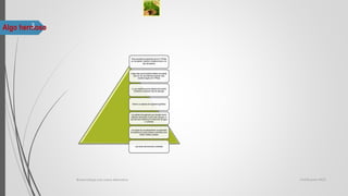 Algo hermoso
Para aumentar la expresión de la H+-PPasa
en una planta, Gaxiola lo añade primero a un
tipo de bacteria
Luego deja que la bacteria infecte una planta,
pero en vez de enfermar la planta, esta
bacteria regula a H+-PPasa
Lo que significa que las células de la planta
comienzan a producir más de este gen
Este es un ejemplo de ingeniería genética
Las plantas transgénicas que resultan tienen
sistemas radiculares mucho más robustos, lo
que las hace mejores en la absorción de agua
y nutrientes
Las raíces de una planta tienen la capacidad
de acidificar el suelo al liberar nutrientes como
nitrato, fosfato y potasio
Las raíces devoran esos nutrientes
Certificacion MOSBiotecnología una nueva alternativa
3
 