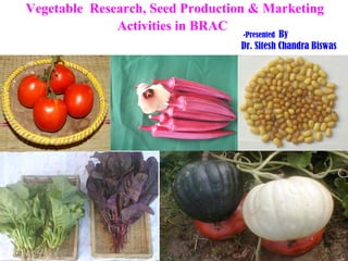 Vegetable Research, Seed Production & Marketing
              Activities in BRAC
                                  -PresentedBy
                                 Dr. Sitesh Chandra Biswas
 