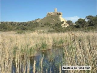 Castillo de Peña Flor 