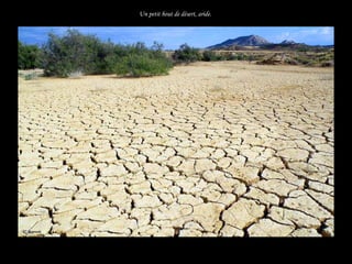 Un petit bout de désert, aride.




.
    .
 