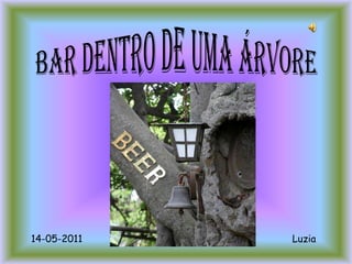 BAR DENTRO DE UMA ÁRVORE Luzia 14-05-2011 