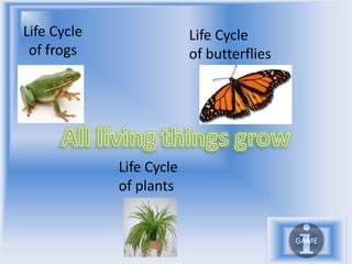 Life Cycle                Life Cycle
 of frogs                 of butterflies




             Life Cycle
             of plants


                                           GAME
 