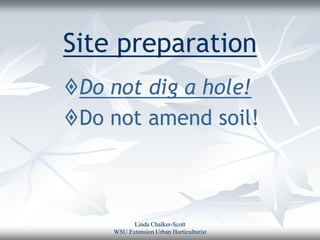 Site preparation
Do not dig a hole!
Do not amend soil!



          Linda Chalker-Scott
    WSU Extension Urban Horticulturist
 